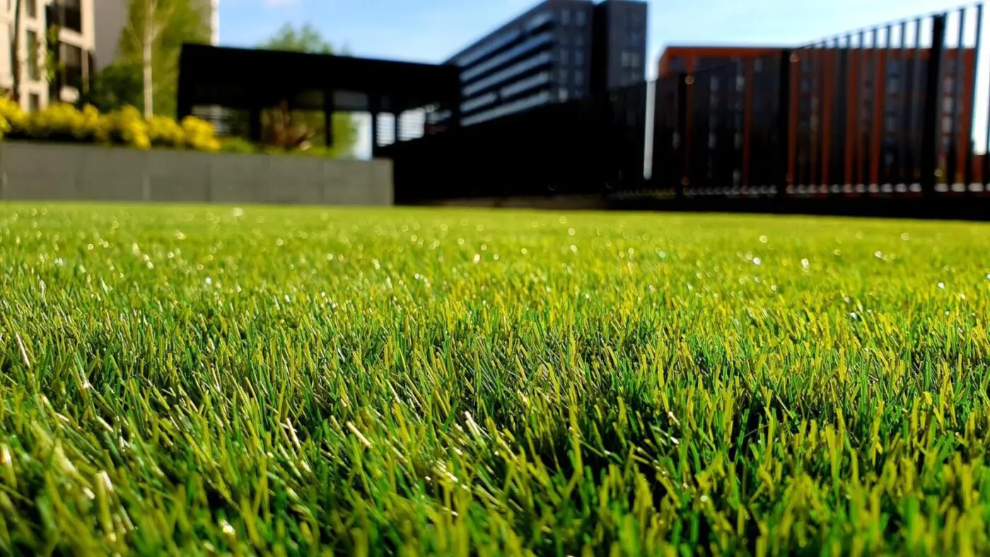 close up of artificial grass field in scottsdale az